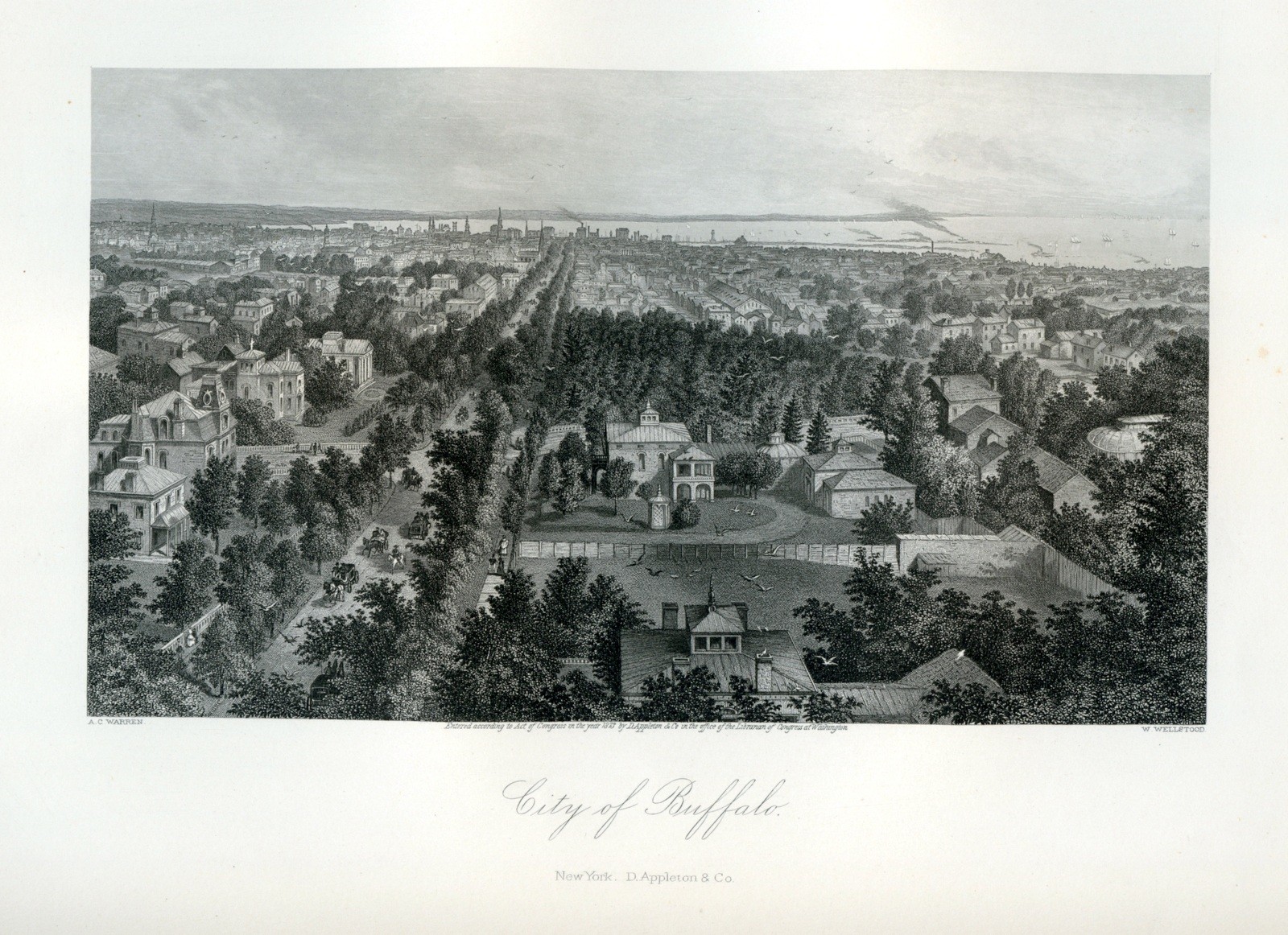 City Of Buffalo, New York, fine steel engraving, 1800s vintage landscape print