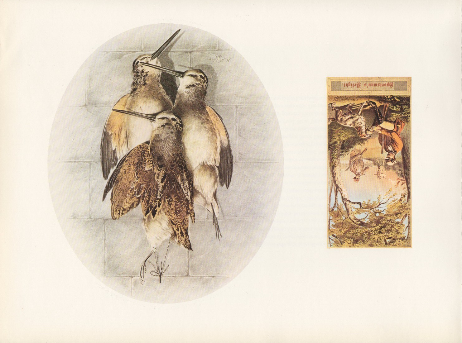 1972 Vintage HUNTING “WOODCOCK SPORTSMANS DELIGHT TOBACCO 1861” Color Lithograph