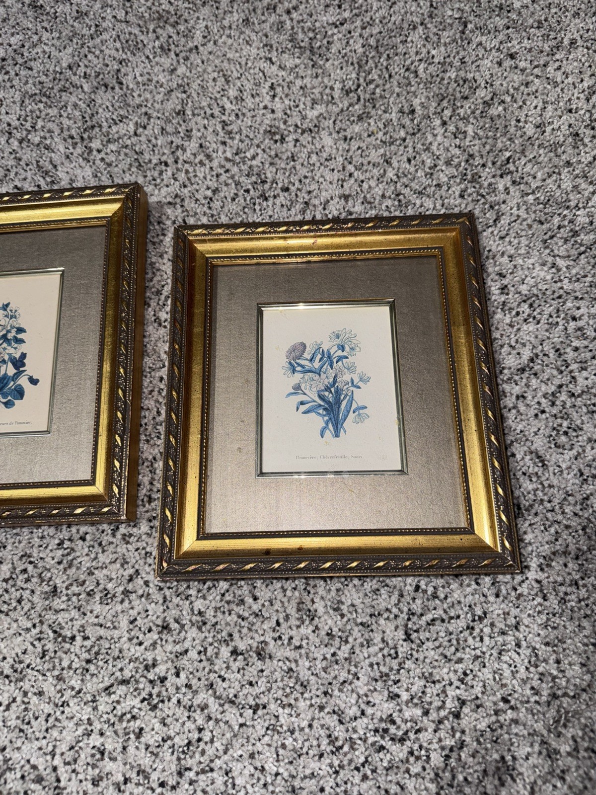 Set of 2 Antique Framed Floral Botanical Art Prints Gold Ornate Cottagecore