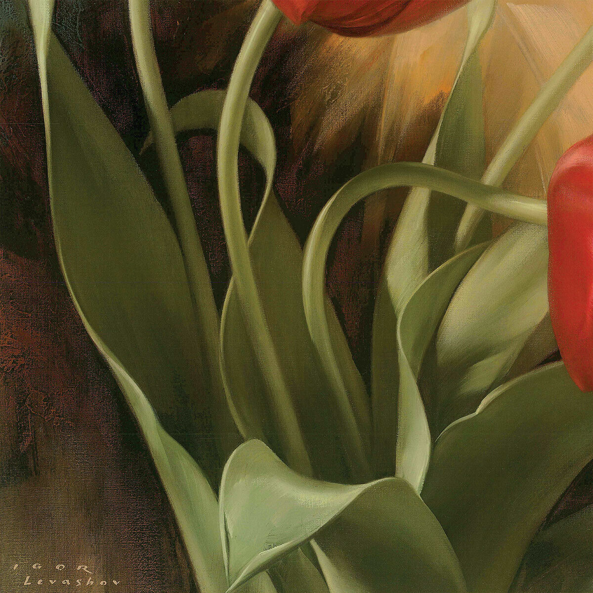 47W”x35H” GARDEN IN HOLLAND I by IGOR LEVASHOV – TULIPS FLORAL CHOICES of CANVAS