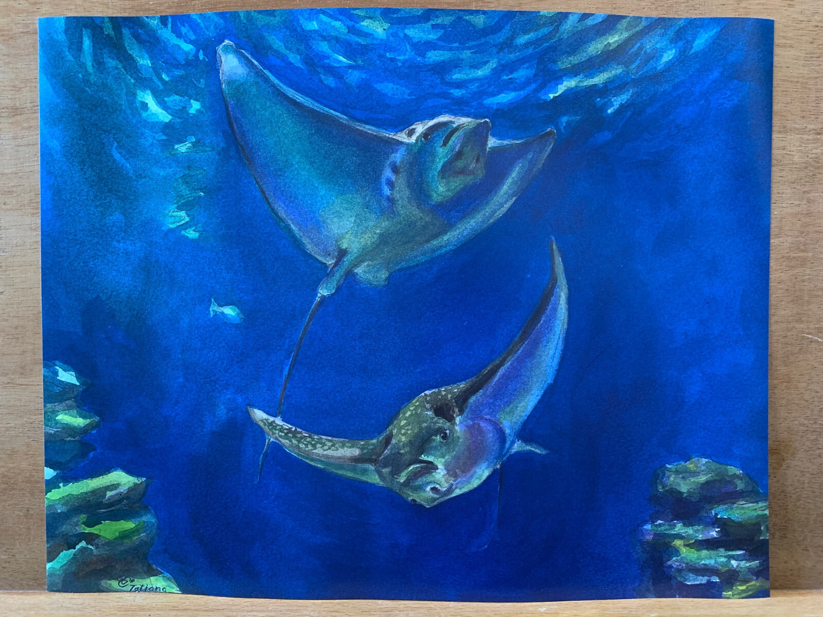 Stingrays – original art print from a watercolor painting
