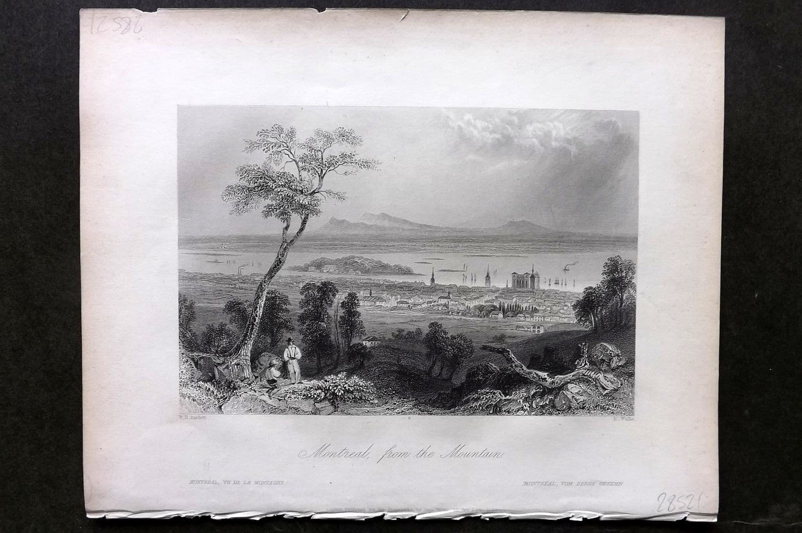 Bartlett Canada 1842 Antique Print. Montreal from the Mountain