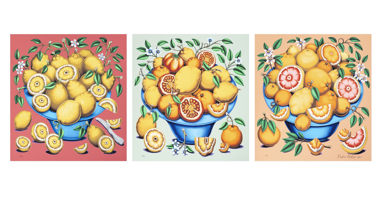 Pedro Pedro Bowls with Citrus, Flowers and Sliced Tomatoes Set