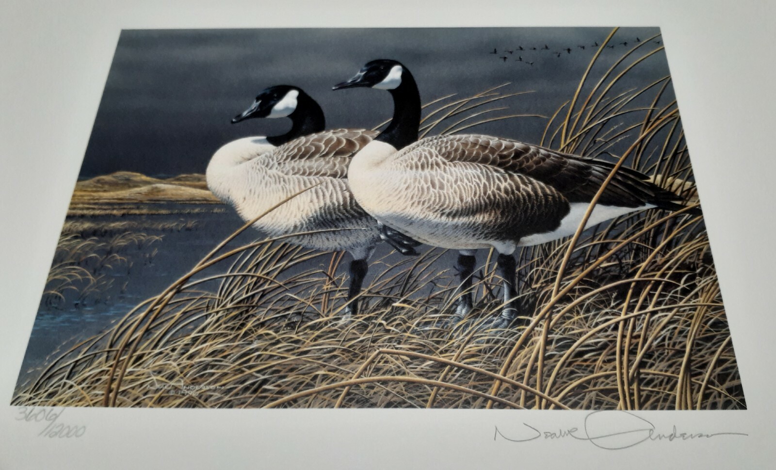 NEBRASKA~1991~WATERFOWL~FIRST OF STATE~NEAL R. ANDERSON~LE 12,000~W/ STAMP