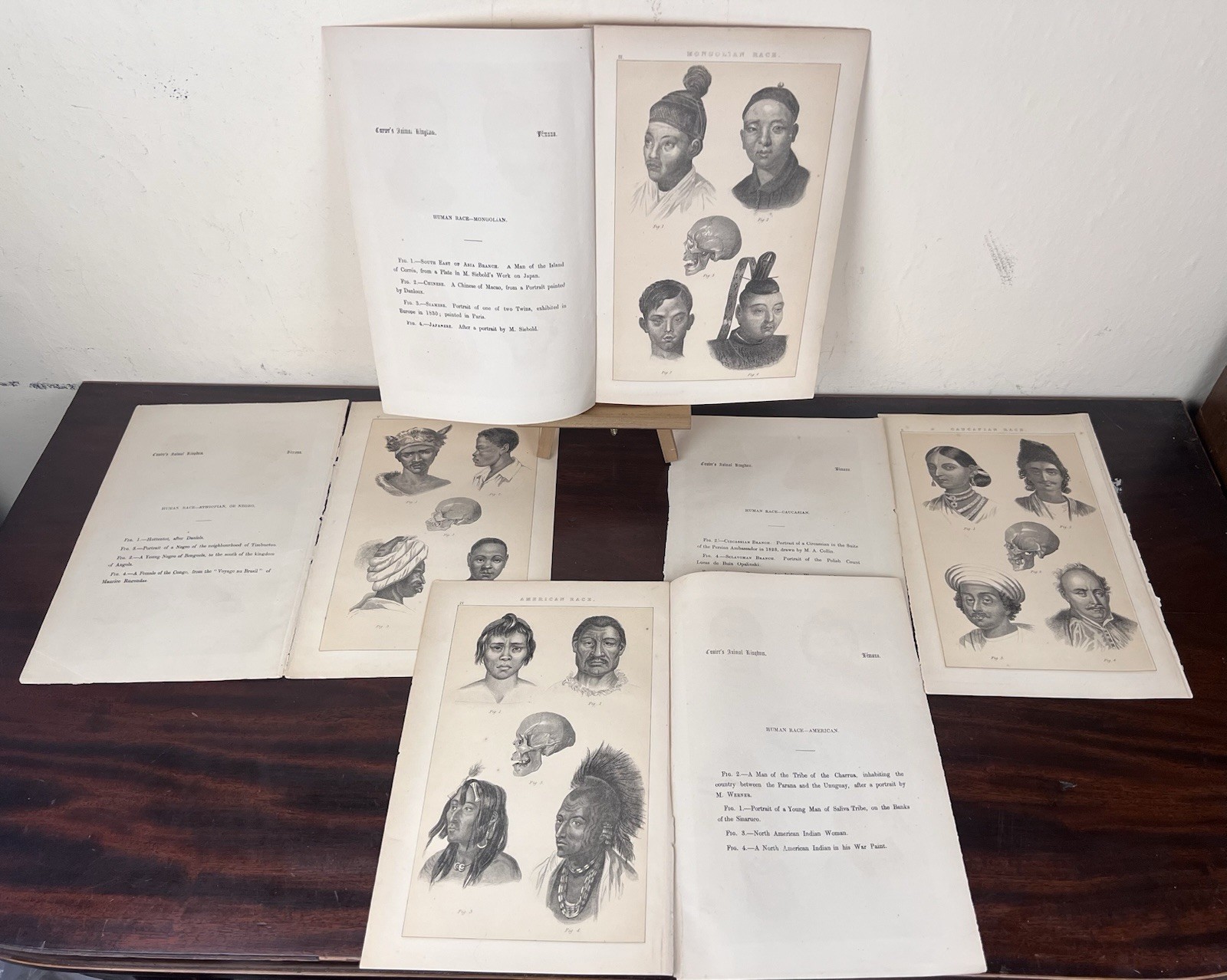 Antique 1863 Cuvier’s “Animal Kingdom American Race” 4 Lithograph Prints 10.25″