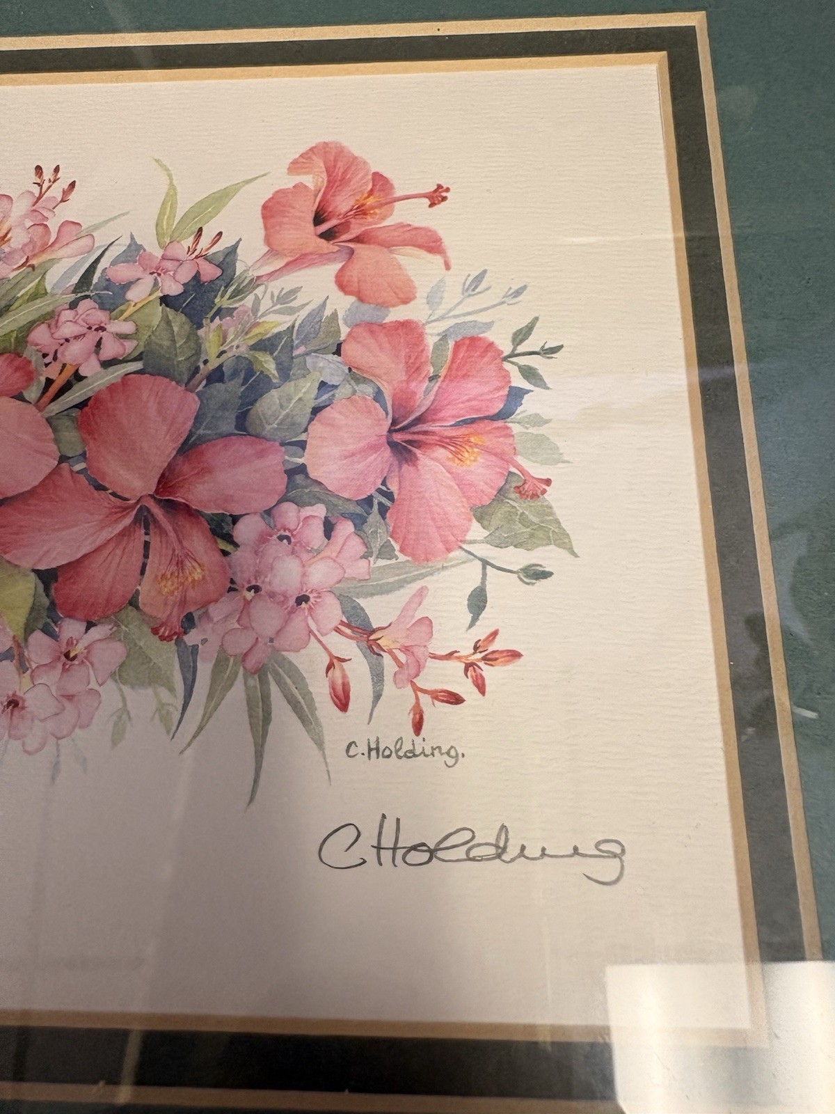 C. Holding Lot of 3 Signed Framed Matted Botanical Floral Landscape Prints