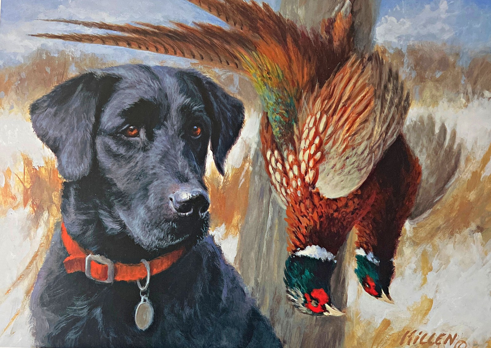 Jim Killen 2012 Minnesota Pheasant Habitat Stamp Print Black Lab 9″x6.5″