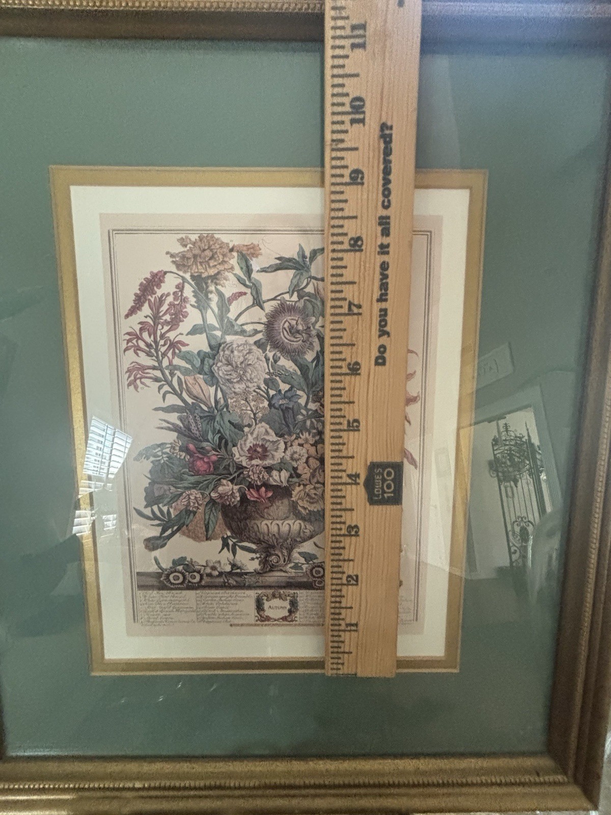 Robert Furber’s illustration of 12 months Of Flowers Framed Print Autumn/October