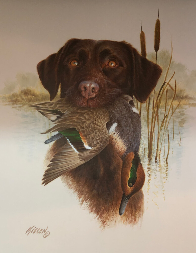 James Killen Chocolate Lab Open Edition Dog Hunting Art Print (14.5×18)