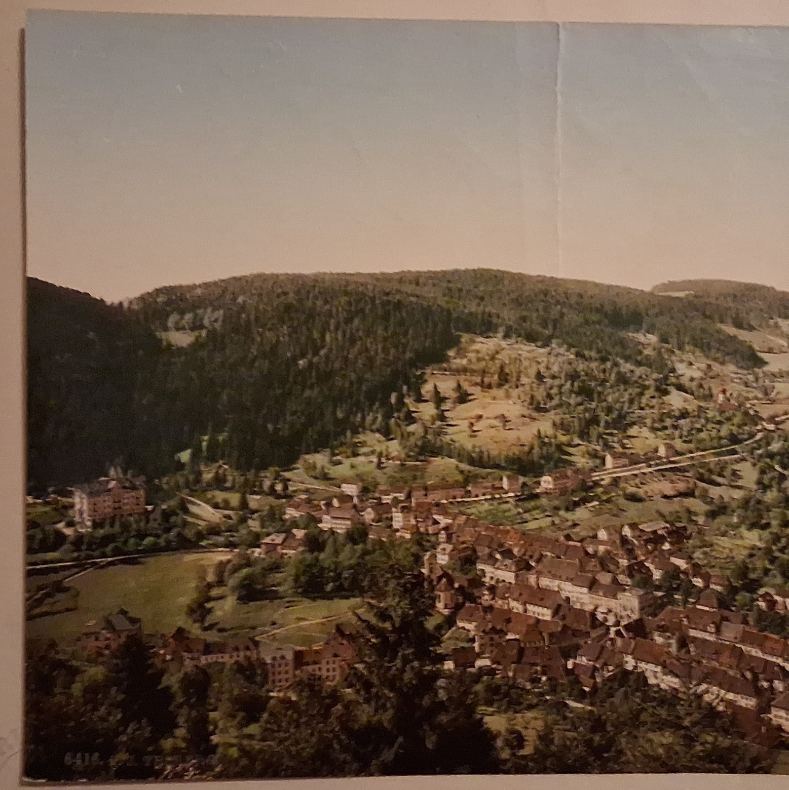 Vintage Photochromatic Print 19th Century View Of Riven/ Black Forest Germany
