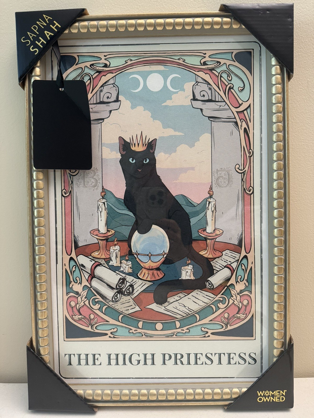 NEW Sapna Shah THE HIGH PRIESTESS 12×18” Framed Print Black Cat Tarot Card