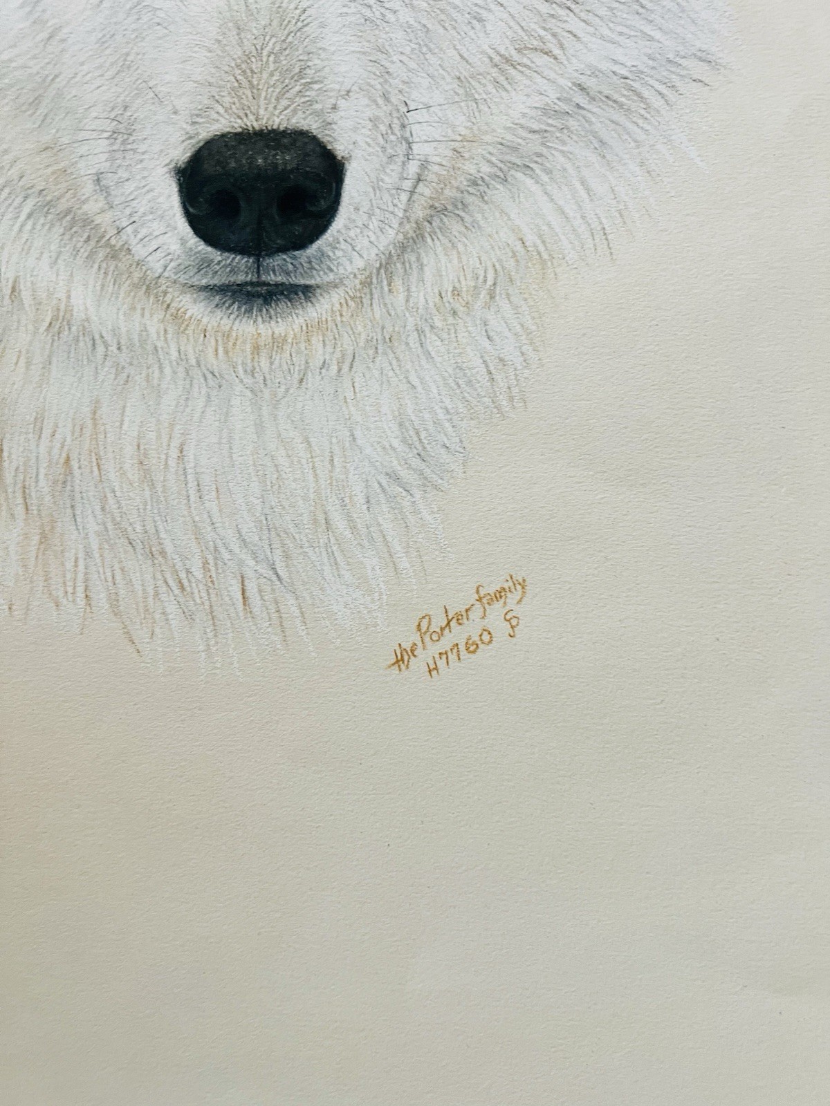 Stunning Detailed Arctic Wolf Art Signed And Numbered By The Porter Family