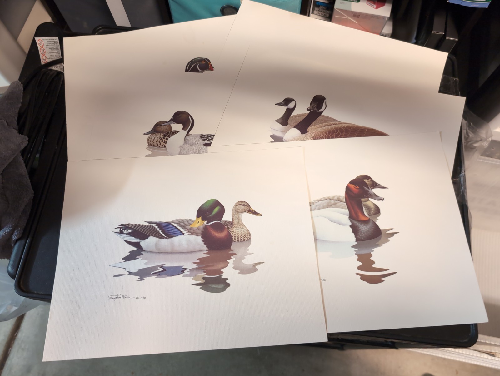 VINTAGE LOT OF 6 RICHARD SLOAN DUCK ART PRINTS 1980 & 1981