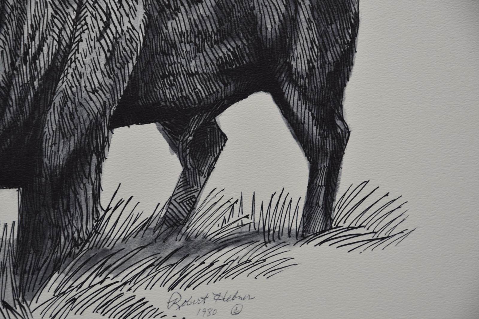 Vintage American Bison Buffalo Lithograph Art Print 112/500 Michael Jacobs