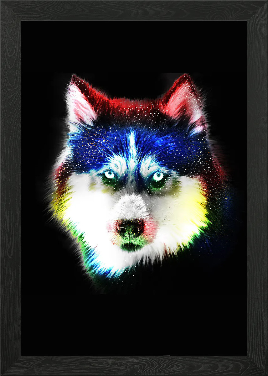 colorful wolf Framed Wall Art Poster Canvas Print Picture