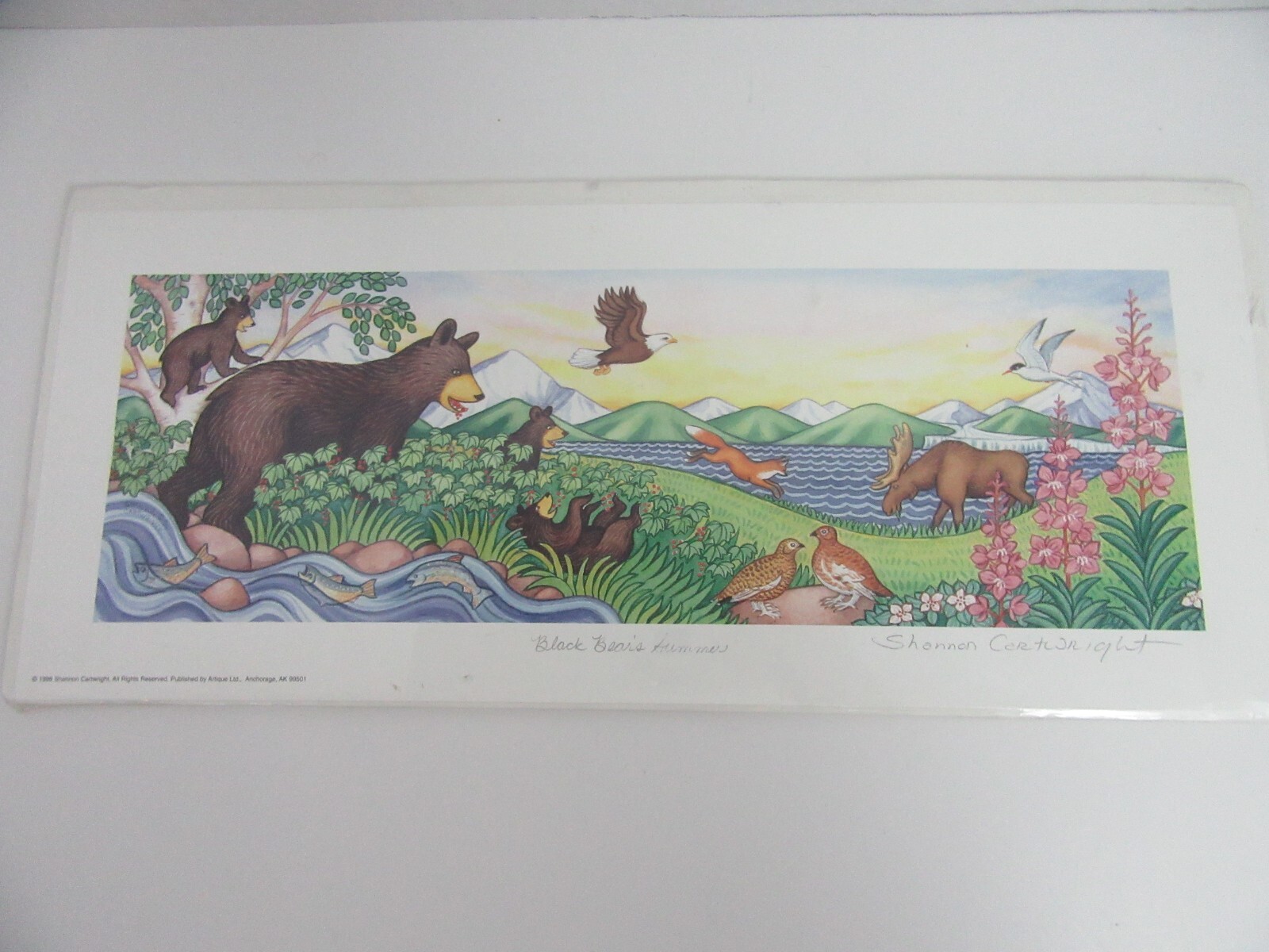 Shannon Cartright Alaska Art Print 1998 Black Bear Summer 7×16 Moose Fox Eagle
