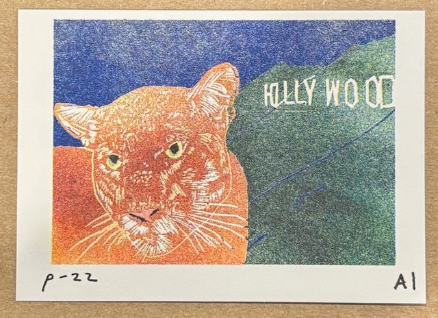 RARE Anastasia Inciardi “P-22” Mountain Lion Mini Print