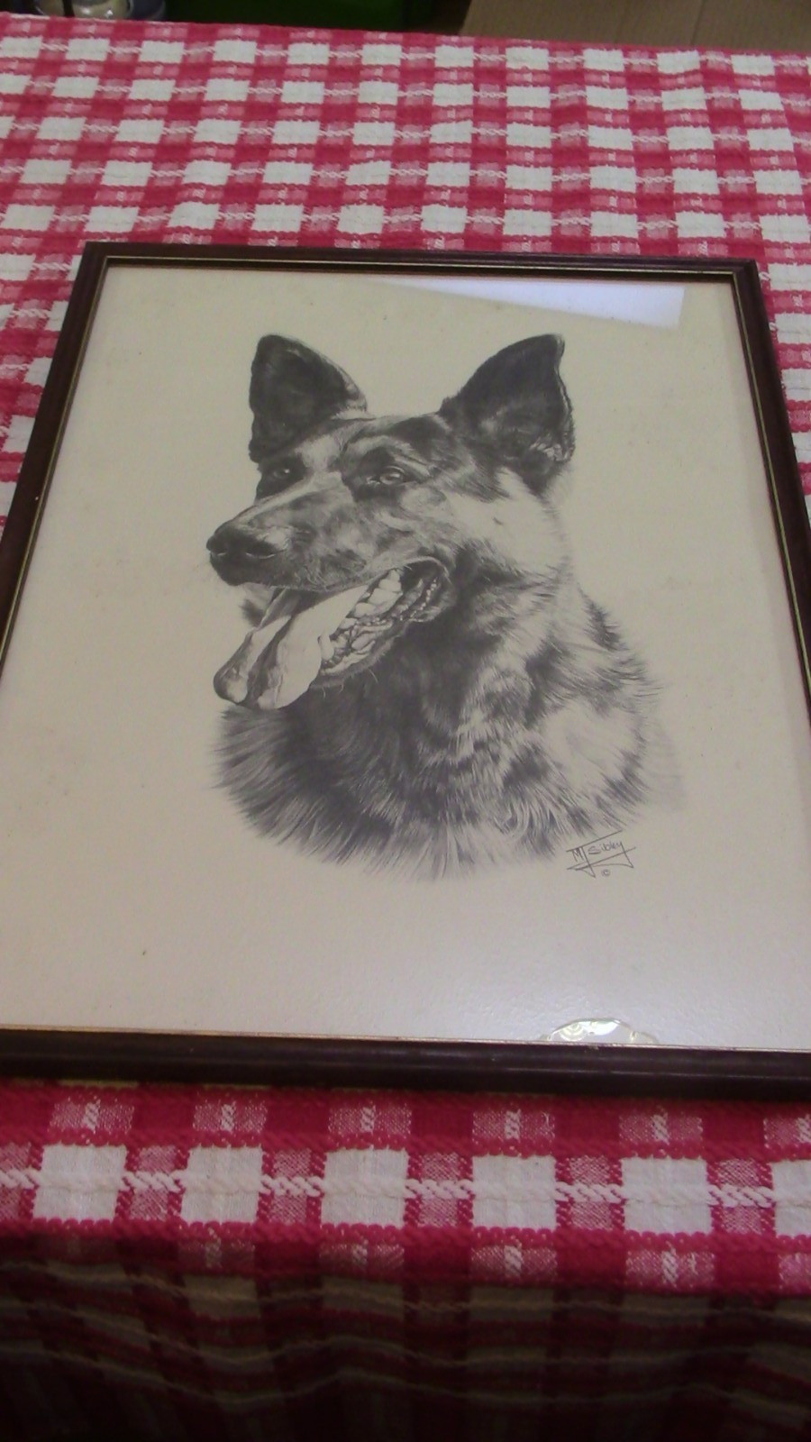 German shepherd Print by M J Sibley Framed signed Picture 31cm by 42cm