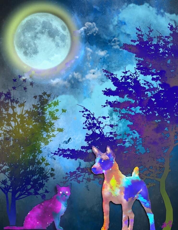 A Dog, A Cat and a Magical Night ART PRINT 8” x 10” Semi Gloss Quality Print
