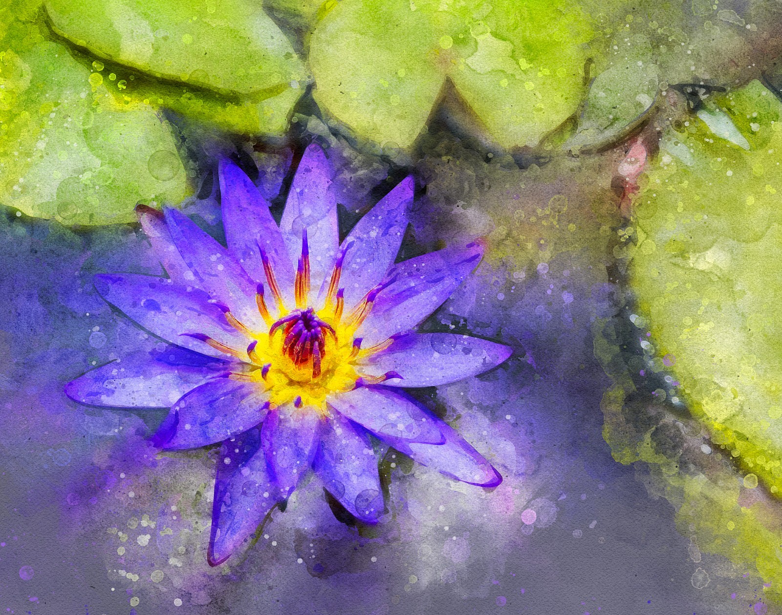 Purple Lotus Flower Digital Photo Painting, 8 x 10 Art Print, Ready For Framing