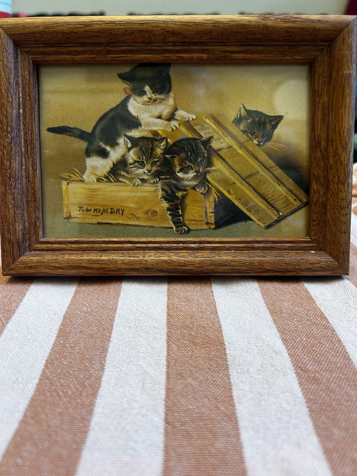 CATS KITTENS PLAYING 4 X 6 gold framed art print Victorian animal picture Vtg