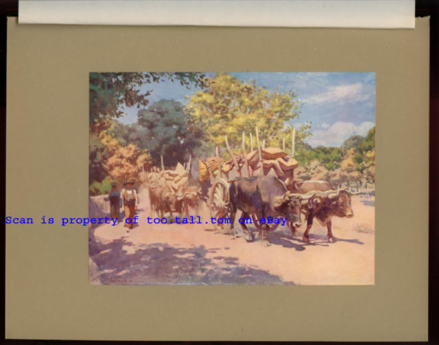 SPAIN: Ox Wagons on Road to Madrid, Orig Vintage mounted 1920s print A C Michael