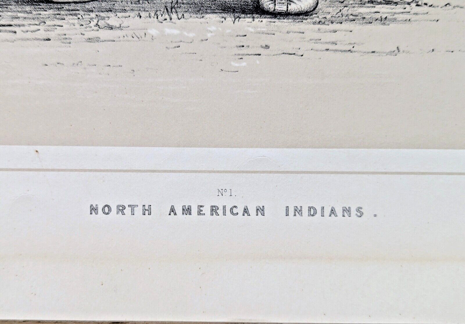 North American Indians Native American George Catlin Licensed Reprint 1970