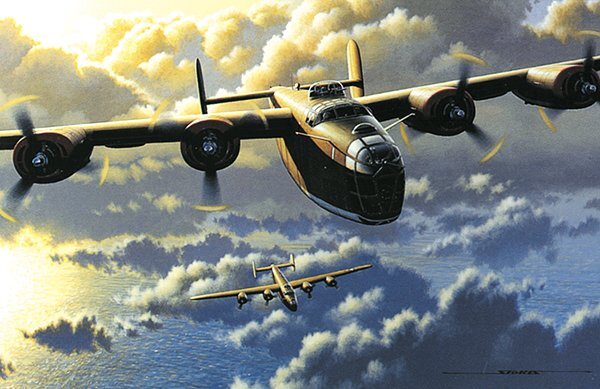 “Liberators” Two WWII B-24Ds – Stan Stokes Aviation Art Print 11″ x 16.5″