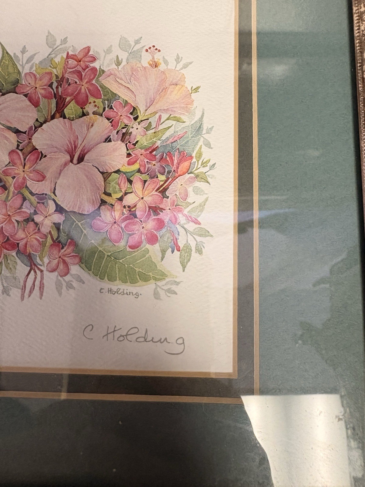 C. Holding Lot of 3 Signed Framed Matted Botanical Floral Landscape Prints