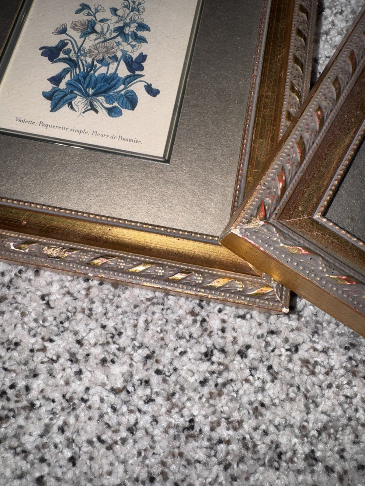 Set of 2 Antique Framed Floral Botanical Art Prints Gold Ornate Cottagecore